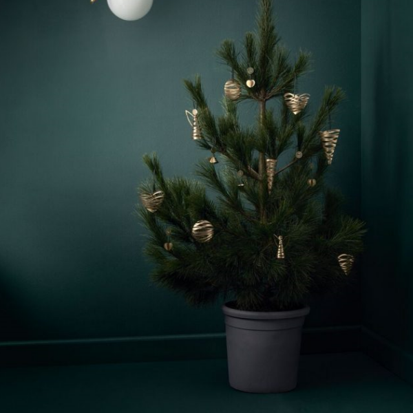 . Изображение 3