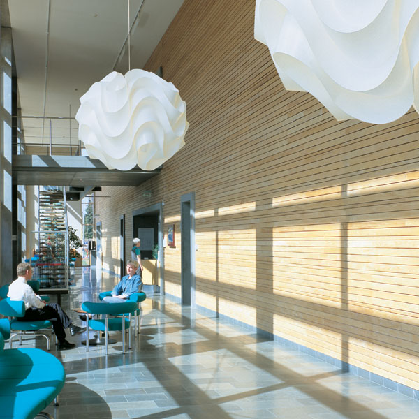 . Изображение 2