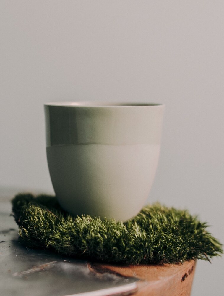 Чашка Ment Kaffekopp Kål. Изображение 1