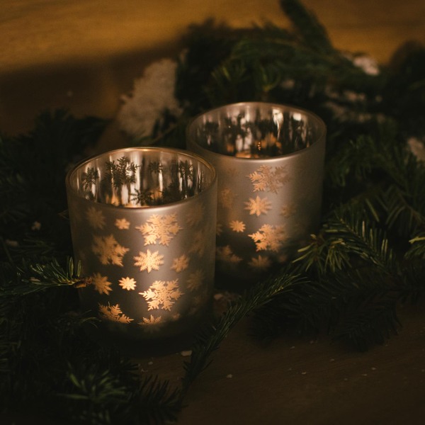 Cвічник Speedtsberg snowflakes 