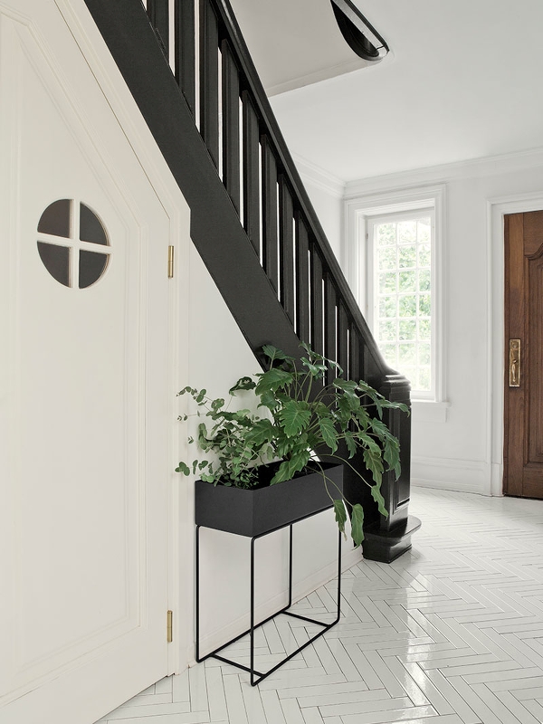 . Изображение 3