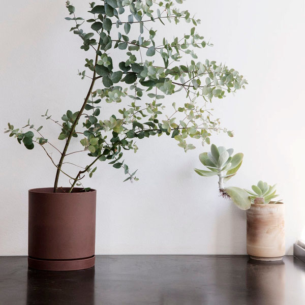 . Изображение 2