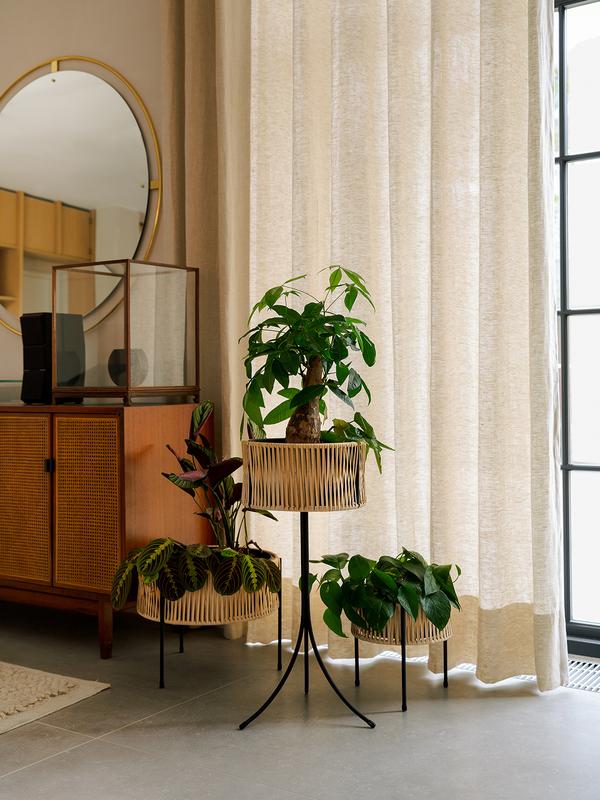 . Изображение 2